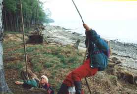 Børn i svingtov ved vandet (8060 bytes)
